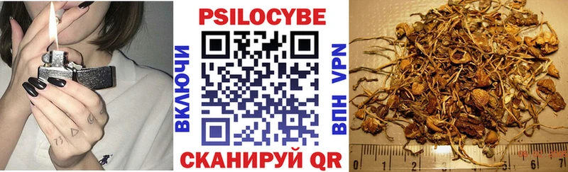 Галлюциногенные грибы мицелий  Красково 